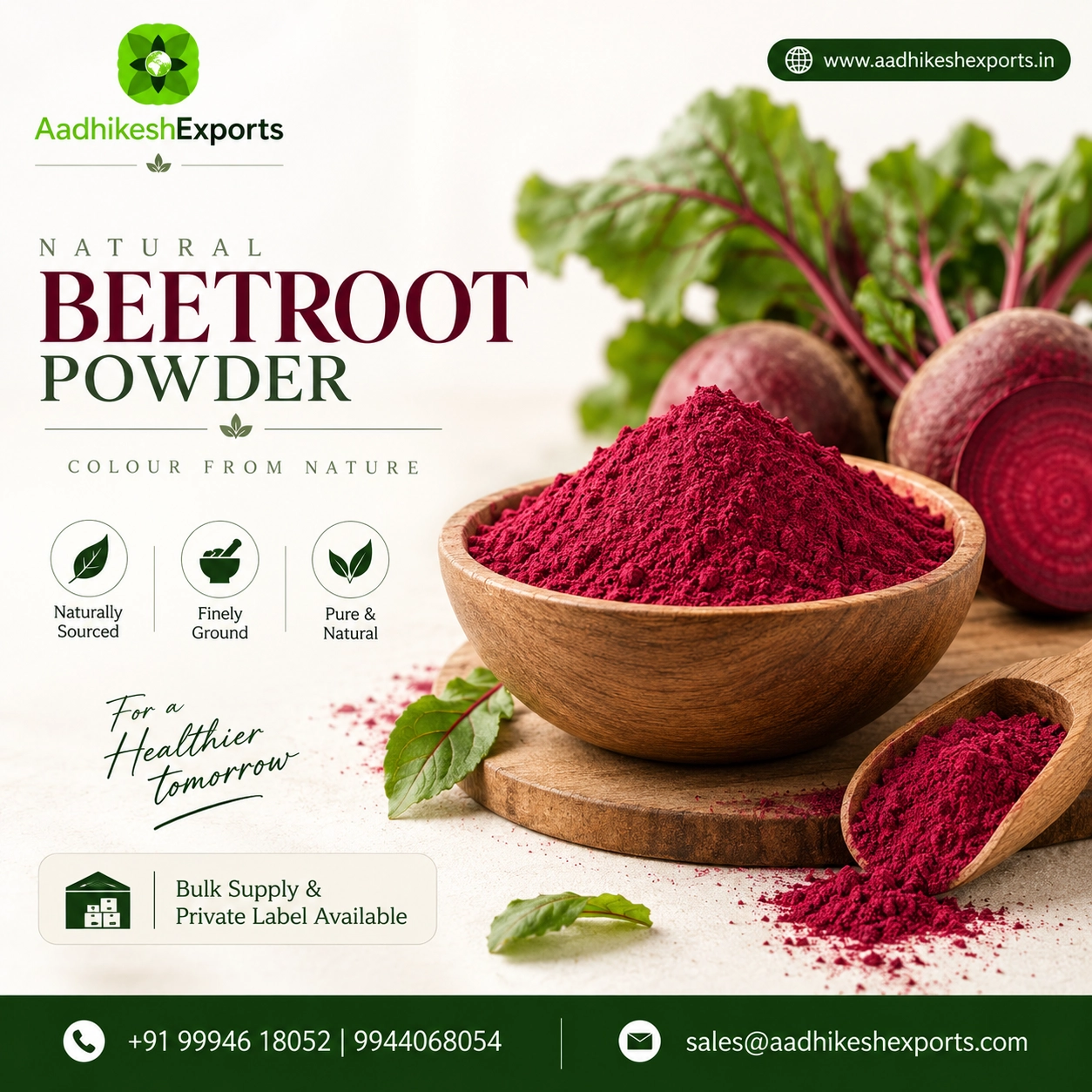 Beetroot Powder Manufacturer India
