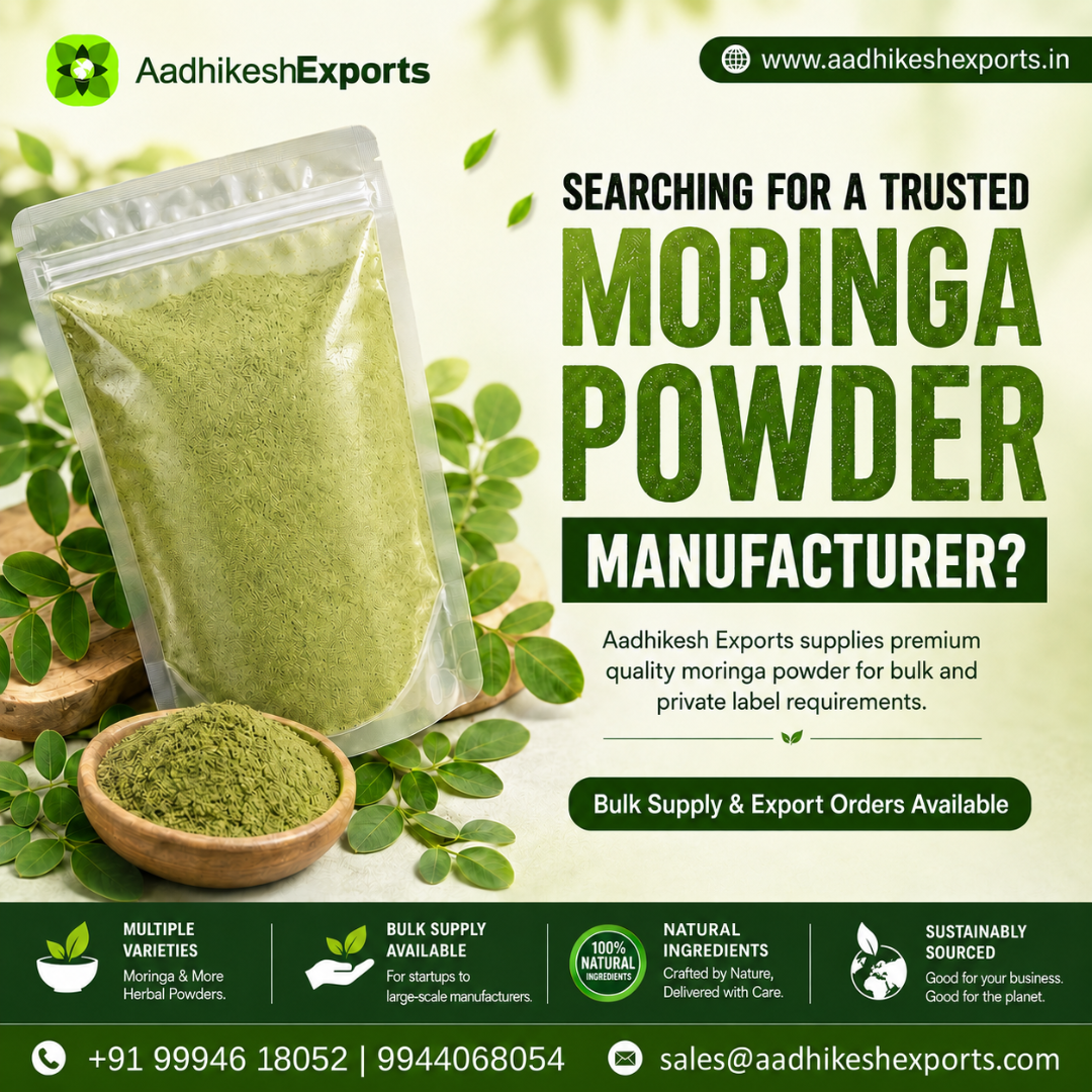 Moringa Powder Manufacturers in India