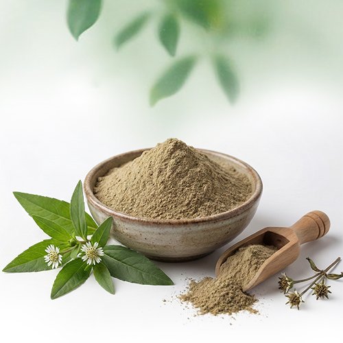 Bhringraj Powder - Altair Hearing Centre