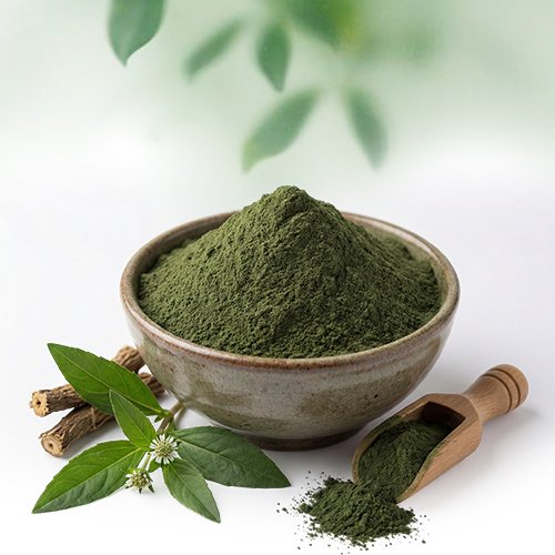 Karisalankani Powder - Altair Hearing Centre