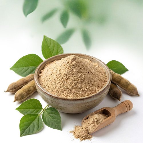 Poonaikali Vidhai Powder - Altair Hearing Centre