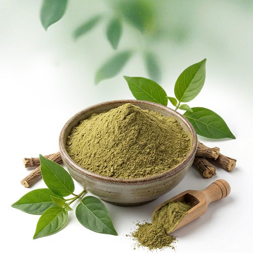 Sirukurinjan Powder - Altair Hearing Centre