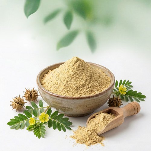 Tribulus Terrestris Powder - Altair Hearing Centre
