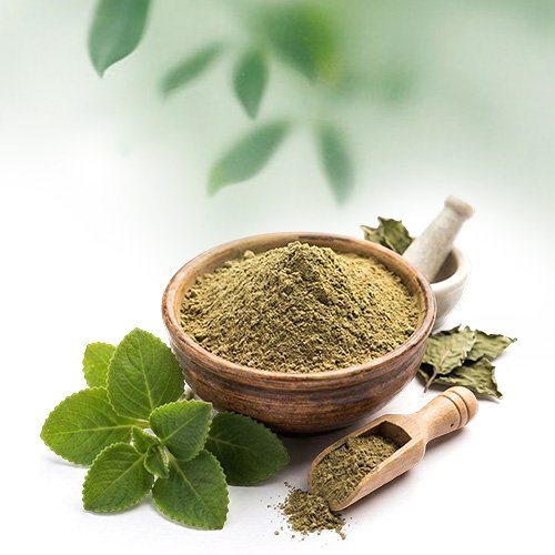 Karpooravalli Powder - Altair Hearing Centre